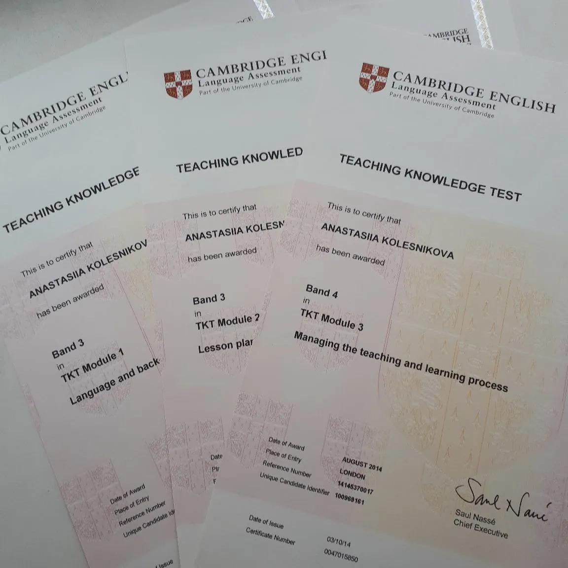 Сертификат TKT Cambridge — Анастасия Колесникова